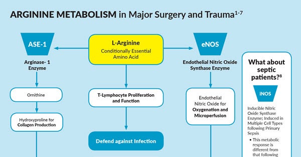 Arginine Metabolism in Major Surgery and Trauma