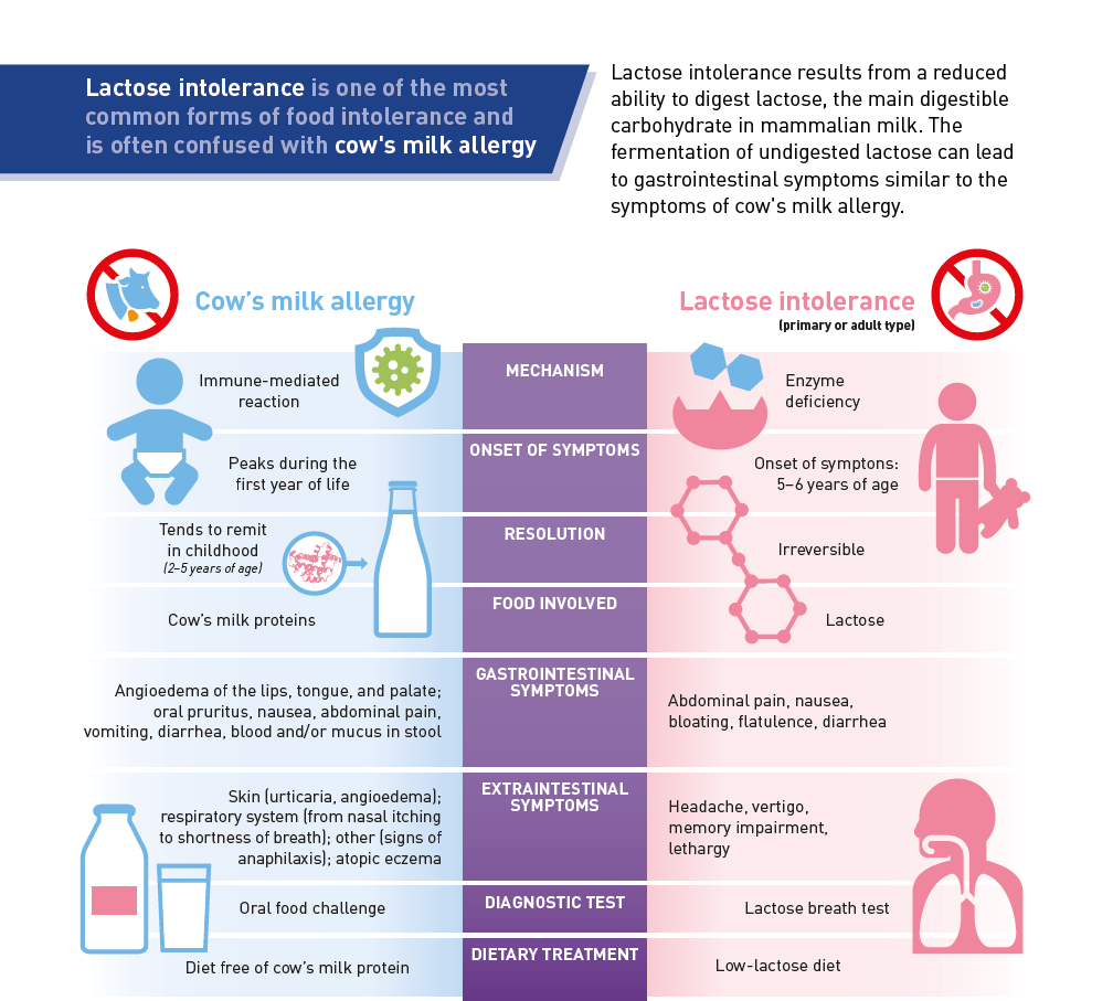Lactose Intolerance vs CMPA