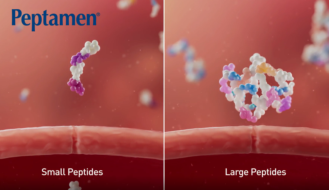 Peptamen MOA Video