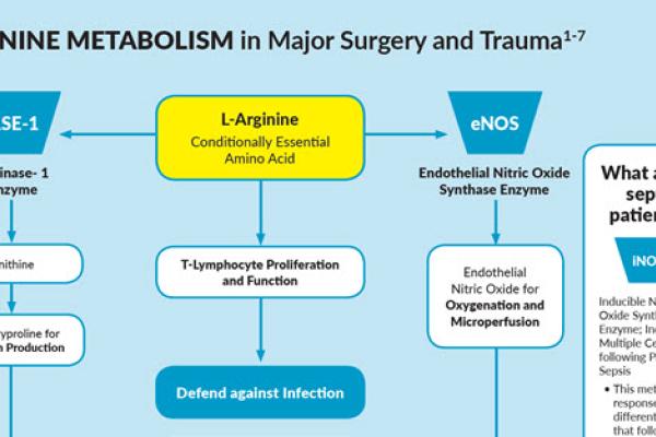 Arginine Metabolism in Major Surgery and Trauma