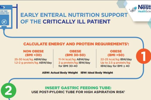 Early Enteral Nutrition Support of the Critically Ill Patient