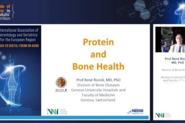 Older Adults' Malnutrition: Proteins and Bone Health