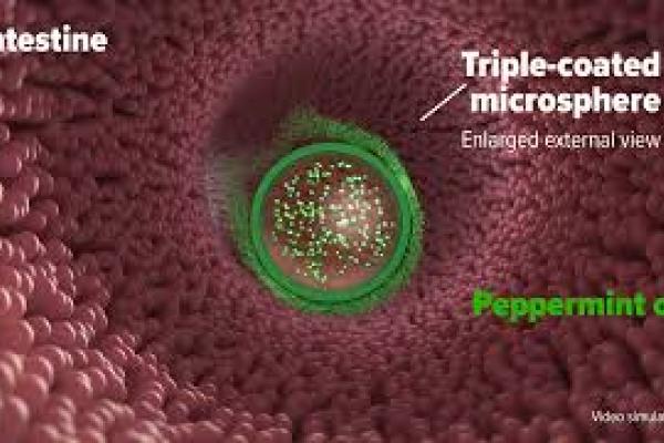 IBgard Mechanism of Action 15 Seconds