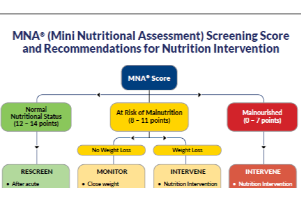 MNA® Nutrition Screening Score and Recommendations for Nutrition Intervention