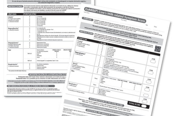 CoMiSS User Tool Scoresheet English and Spanish